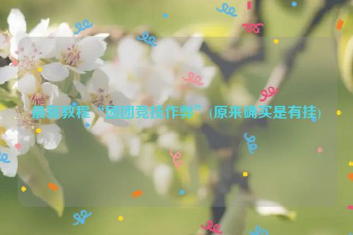 最新教程“团团竞技作弊”(原来确实是有挂)