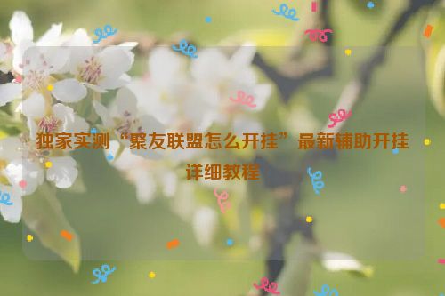 独家实测“聚友联盟怎么开挂”最新辅助开挂详细教程