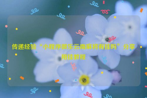 传递经验“小程序微乐云南麻将有挂吗”分享用挂教程