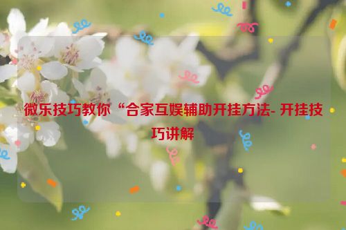微乐技巧教你“合家互娱辅助开挂方法- 开挂技巧讲解