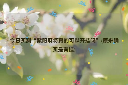 今日实测“紫阳麻将真的可以开挂吗”(原来确实是有挂)