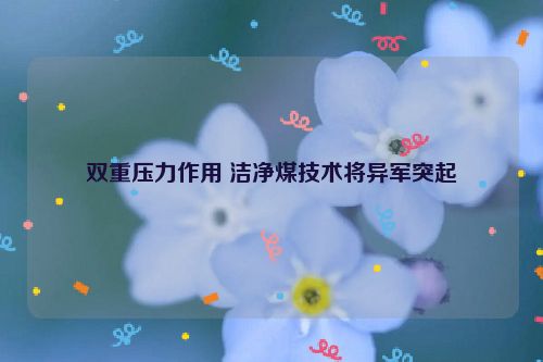 双重压力作用 洁净煤技术将异军突起