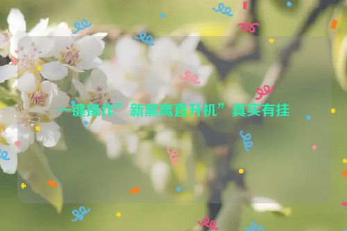 一键操作”新黑鹰直升机”真实有挂