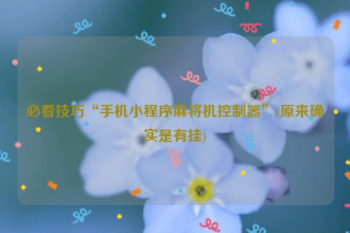 必看技巧“手机小程序麻将机控制器”(原来确实是有挂)