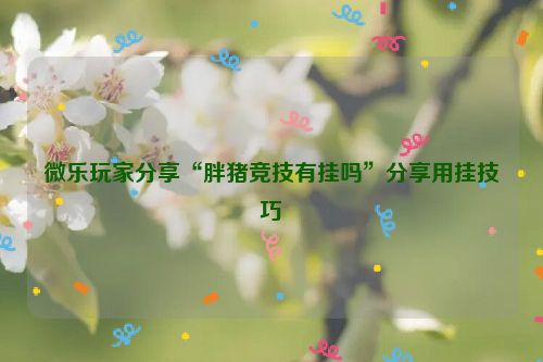 微乐玩家分享“胖猪竞技有挂吗”分享用挂技巧