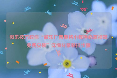 微乐技巧教你“微乐广西麻将小程序必赢神器免费安装”详细分享装挂步骤
