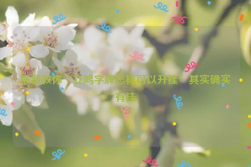 最新教你“立鸿字牌怎样可以开挂”其实确实有挂