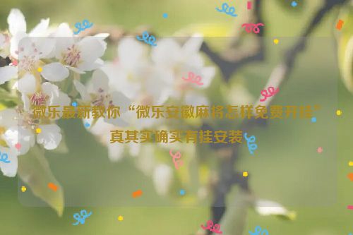 微乐最新教你“微乐安徽麻将怎样免费开挂”真其实确实有挂安装