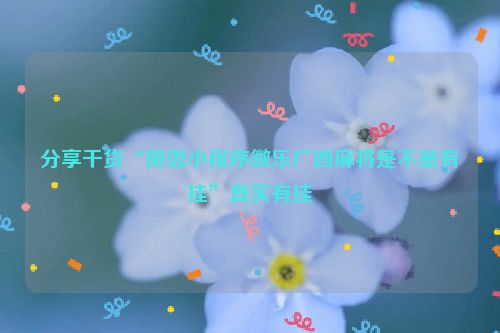 分享干货“微信小程序微乐广西麻将是不是有挂”真实有挂