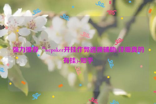 强力推荐“wepoker开挂作弊透视辅助(详细真的有挂)-知乎