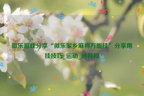 微乐游戏分享“微乐家乡麻将万能挂”分享用挂技巧_运动_迪特网