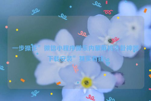 一步操作”微信小程序微乐内蒙麻将外卦神器下载安装”其实有挂